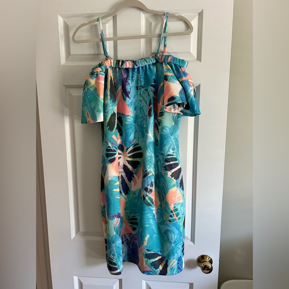 Tahari Addison Dress, Size M